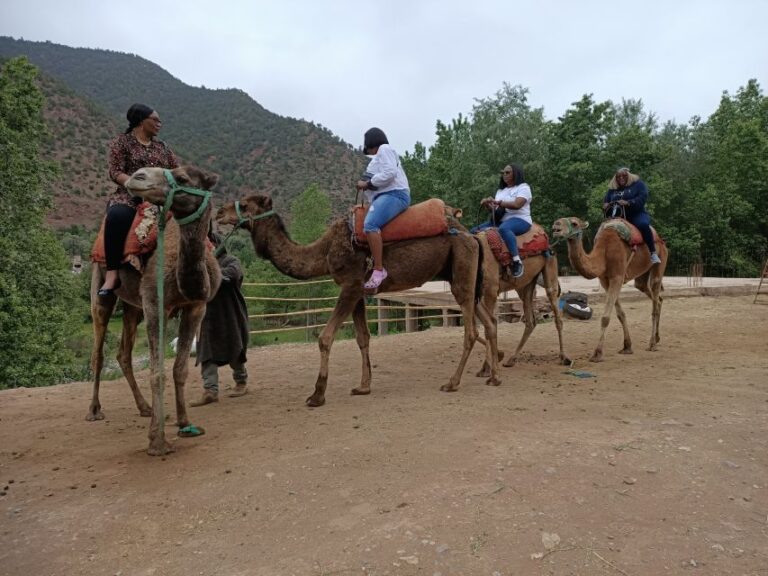 Excursion Ourika Valley and Atlas Mountains With Camel Ride