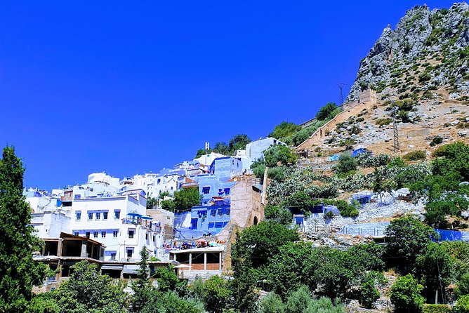 Excursion to Chefchaouen (The Blue City) From Tangier