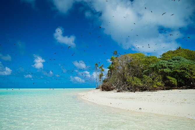 Excursion to Tetiaroa by Catamaran Visit Lunch Snorkeling