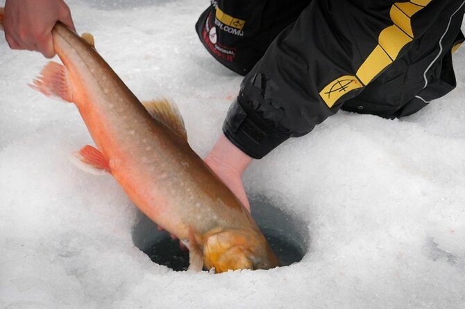 Experience Ice Fishing and Hunt for Arctic Char