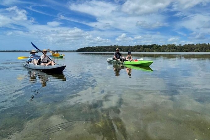 1 explore noosa by kayak mangroves and mansions Explore Noosa by Kayak - Mangroves and Mansions