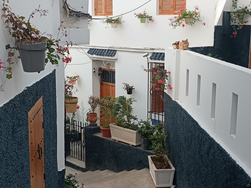 Explore Tangier in Depth on a Full-Day Tour