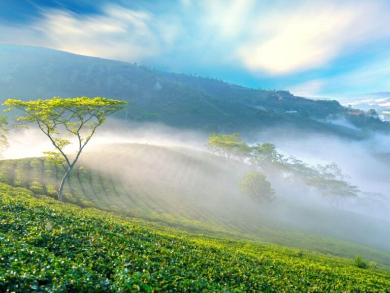 Explore the Best of Dalat Countryside Tour (Private Car)
