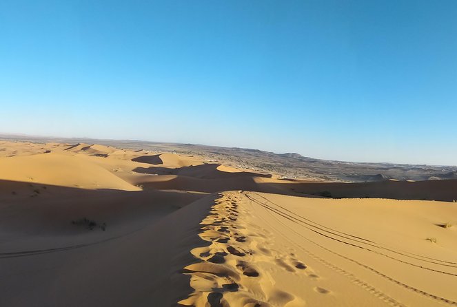 Explore the Desert