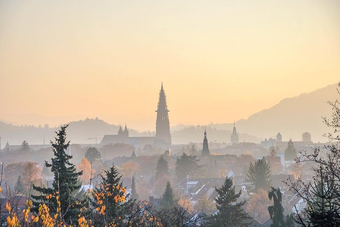 Explore the Instaworthy Spots of Freiburg With a Local
