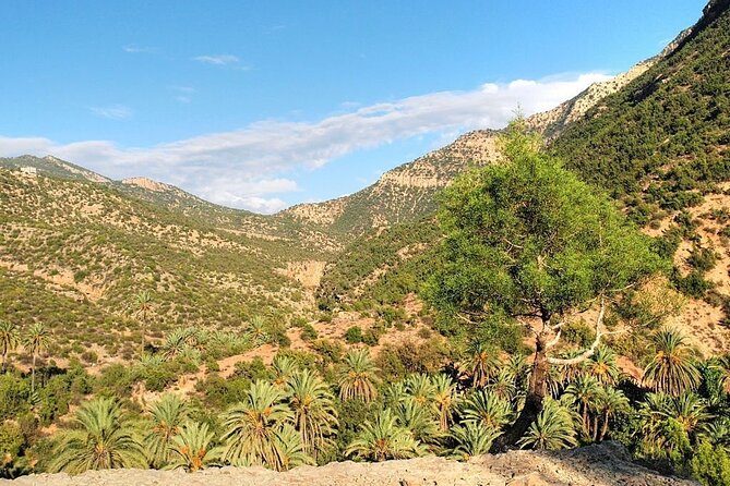 Explore the Paradise Vallez on a Guided Day Trip From Agadir