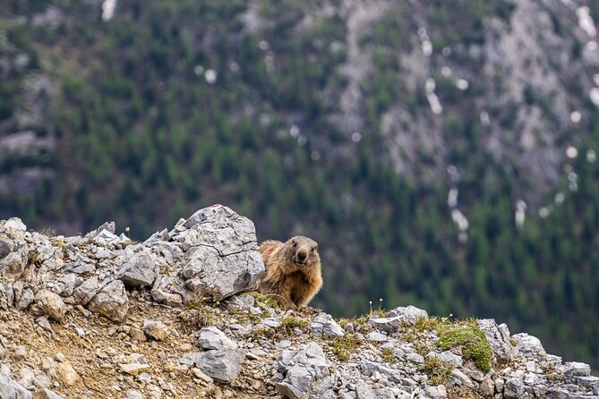 1 exploring the dolomites one day trekking in the mountains Exploring the Dolomites, One-Day Trekking in the Mountains