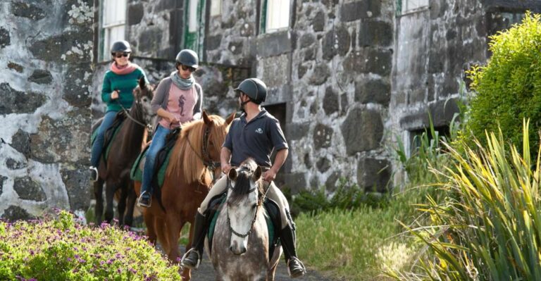 Faial Island: Horseback Riding on Lusitano Trail (1,5 Hr)