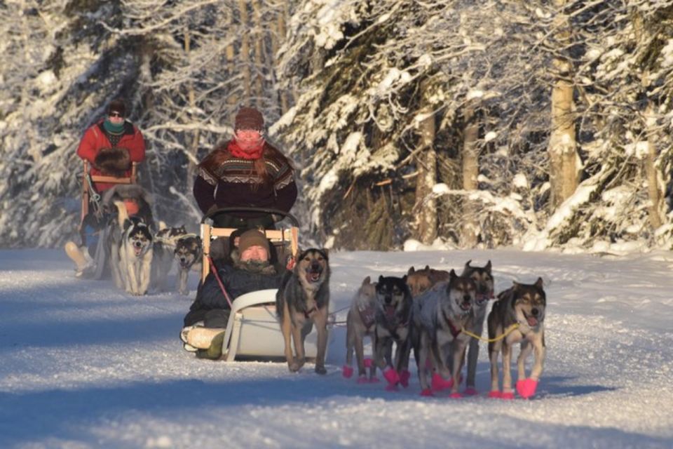 1 fairbanks dog sledding and mushing Fairbanks: Dog Sledding and Mushing Experience