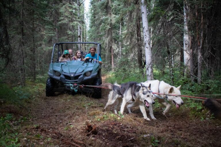 Fairbanks: Summer Mushing Cart Ride and Kennel Tour