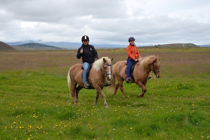 Family Friendly Horse Riding Tour in Skagafjörður