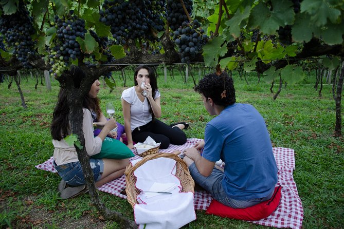 Family Wineries Tour in Bento Gonçalves, Rio Grande Do Sul