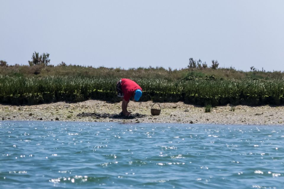 1 faro kayak hire in ria formosa natural park Faro: Kayak Hire in Ria Formosa Natural Park