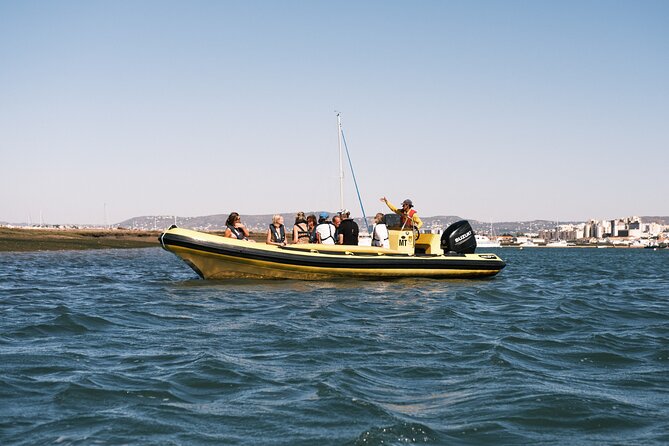 Faro to Ilha Deserta, Rio Formosa Natural Park Eco-Tour - Flora and Fauna Exploration