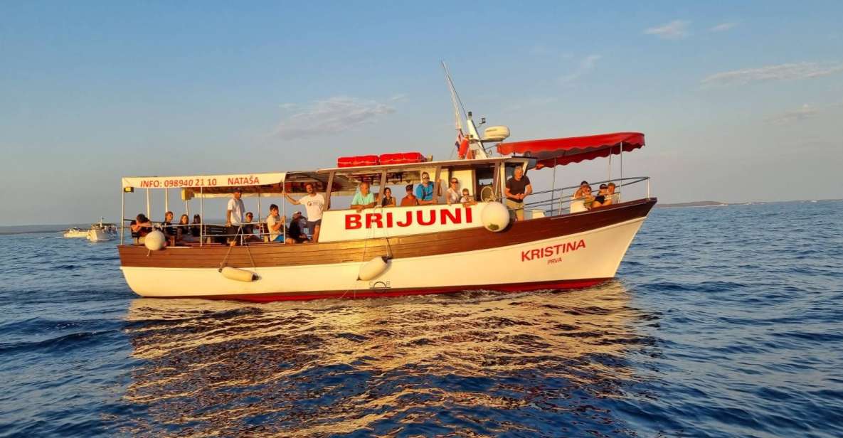 Fazana: Guided Dolphin Watching Sightseeing Cruise at Sunset