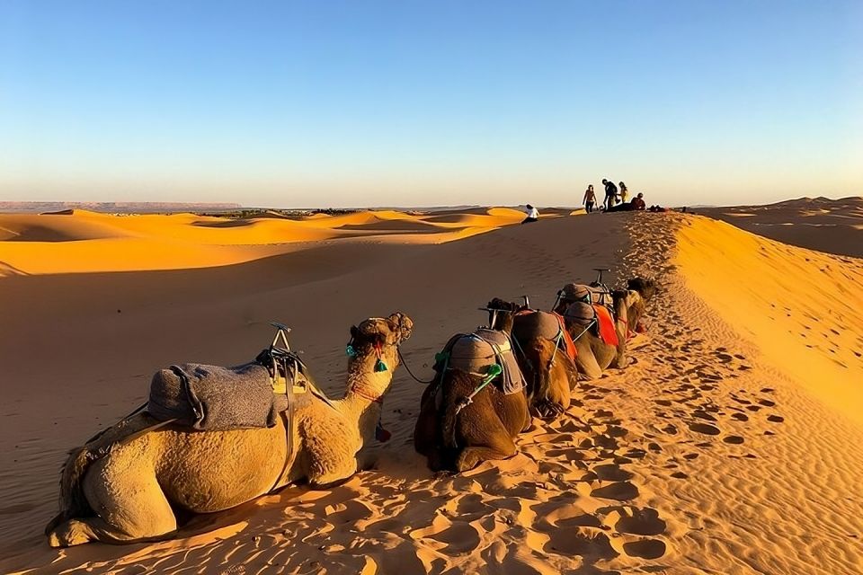 Fès: 2 Days Desert Trip to Merzouga (1 Night), Marrakech