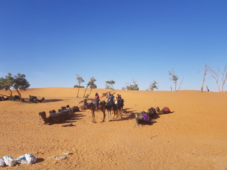 Fes: Merzouga Desert 2-Day Tour