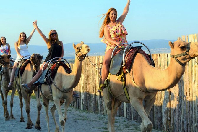 Fethiye Camel Riding at Gosht Town
