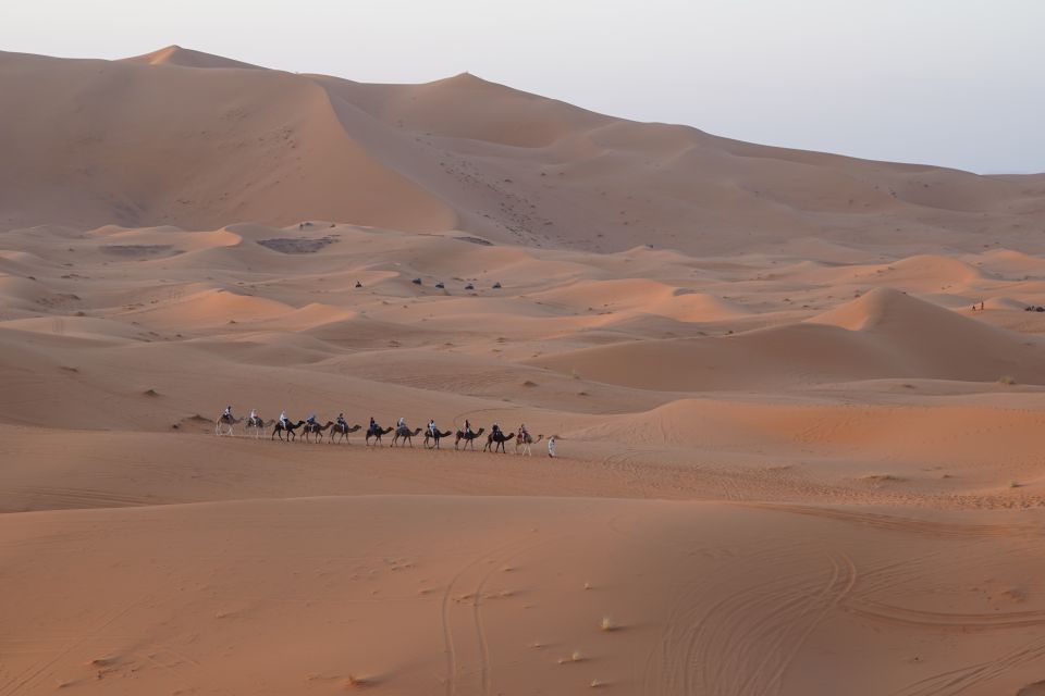 1 fez desert discovery 2 days 1 night great deal Fez Desert Discovery: 2 Days, 1 Night - Great Deal!