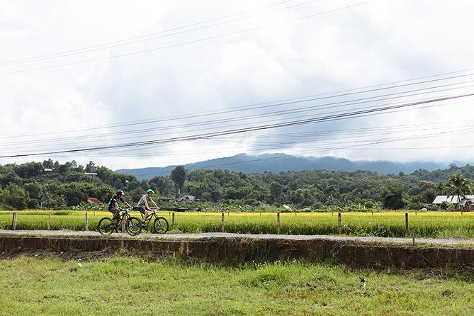 1 fields of gold mountain biking tour chiang mai FIELDS OF GOLD Mountain Biking Tour Chiang Mai