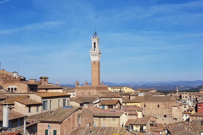 First Time Siena Medieval Tuscany Private Half Day Tour