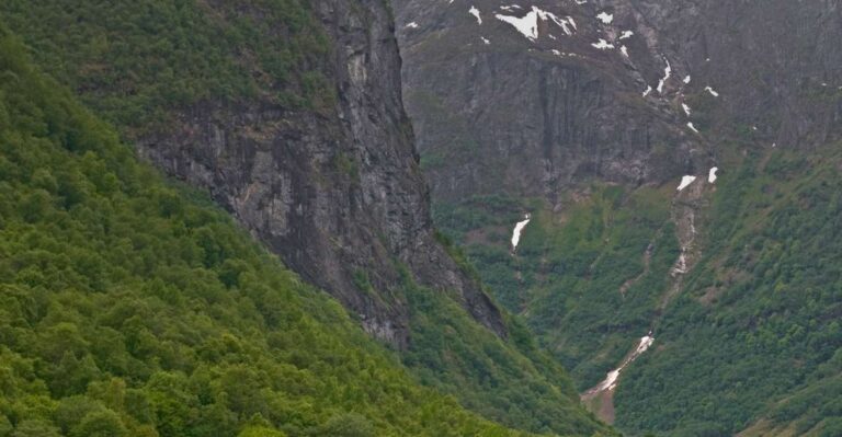 Fjords: Private Trip With Train and Cruise Ride
