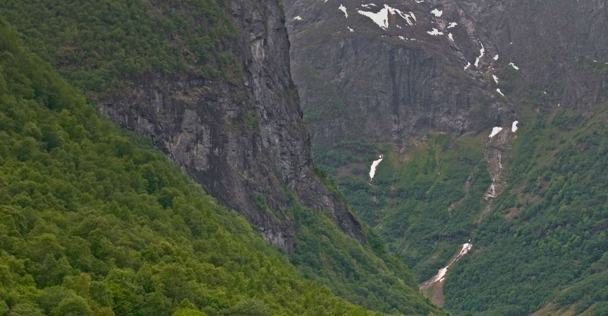 1 fjords private trip with train and cruise ride Fjords: Private Trip With Train and Cruise Ride