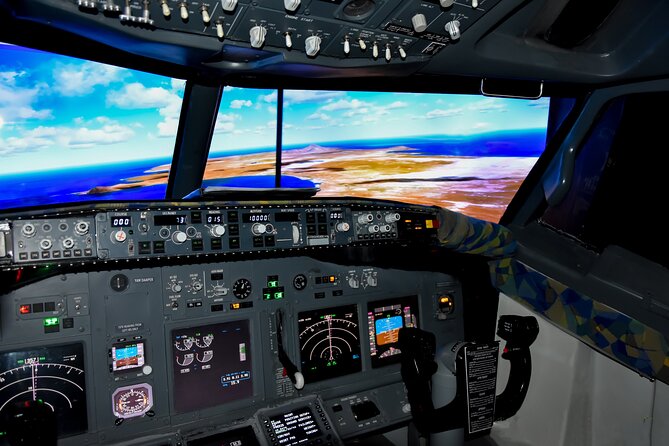 Flight Simulation Experience