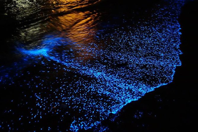 1 florida bioluminescence kayaking tour haulover canal titusville Florida Bioluminescence Kayaking Tour Haulover Canal (Titusville)