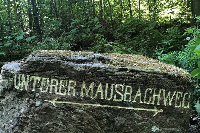 1 forest hike in heidelberg Forest Hike in Heidelberg