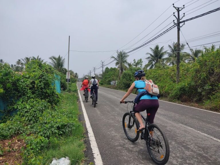 Fort Kochi Cycling Tour (Half Day)
