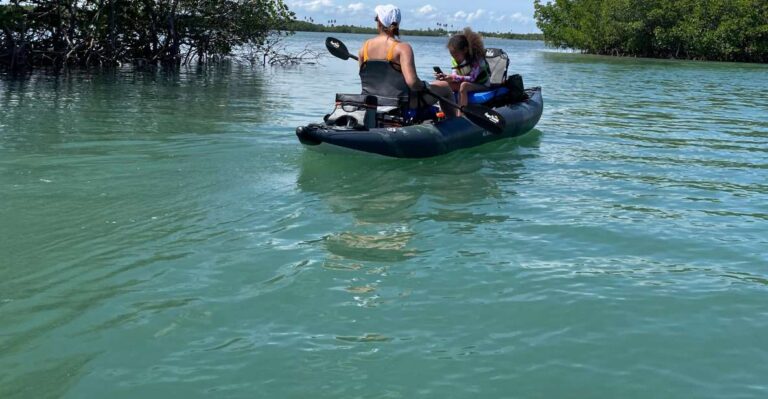 Fort Pierce: 6-hr Mangroves, Coastal Rivers & Wildlife in FL