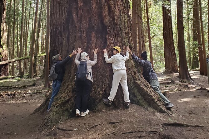 Francis King Regional Park Forest Bathing  – Vancouver Island