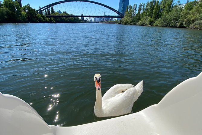 Frankfurt Private River Cruise