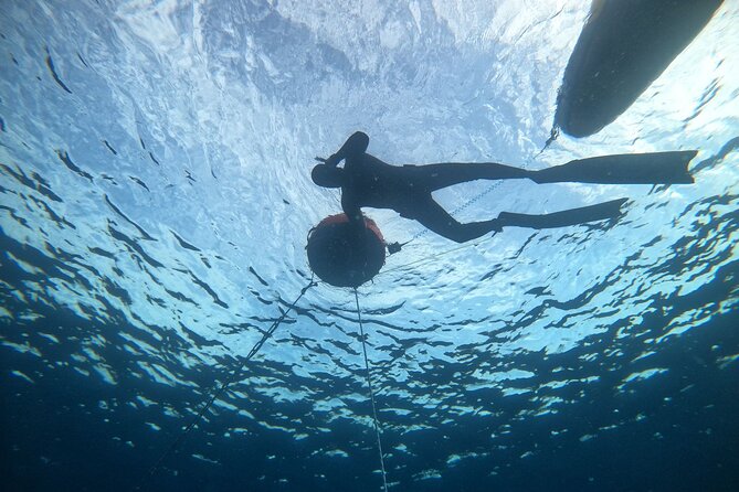 Freediving at Museum Atlantico