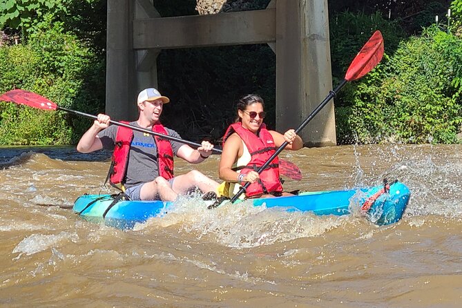 1 french broad river kayak tour in asheville French Broad River Kayak Tour in Asheville