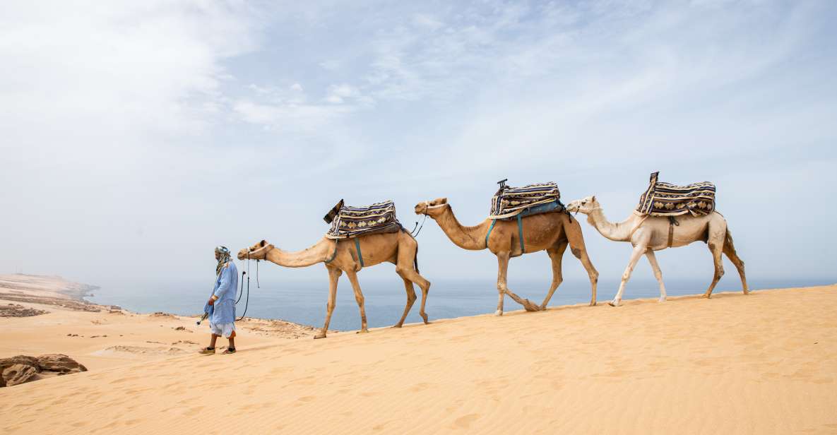 1 from agadir 44 jeep desert safari with lunch and pickup 3 From Agadir: 44 Jeep Desert Safari With Lunch and Pickup