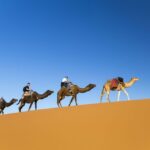 1 from agadir camel ride and flamingo trek 9 From Agadir: Camel Ride and Flamingo Trek