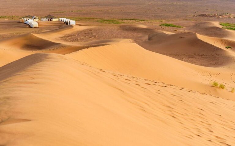From Agadir or Taghazout: 2-Day Sahara Desert Tour to Zagora