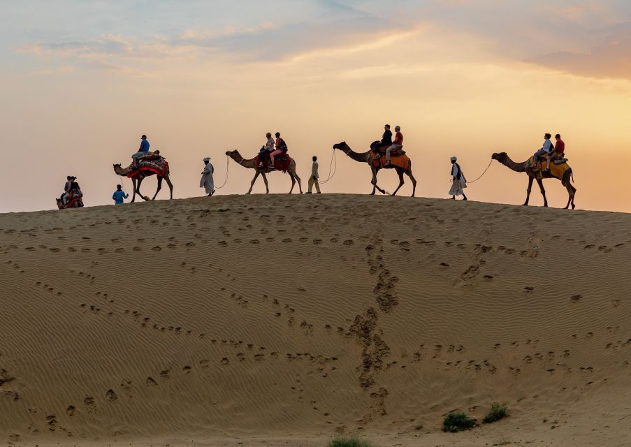 1 from agadir or taghazout camel ride and flamingo river tour 2 From Agadir or Taghazout: Camel Ride and Flamingo River Tour