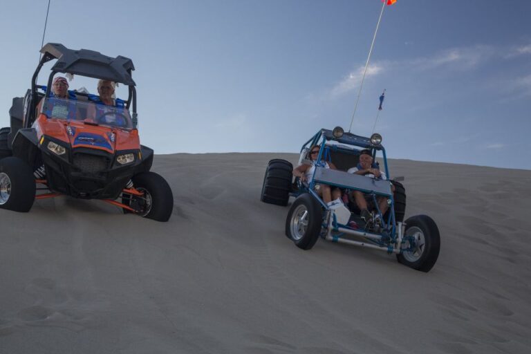 From Agadir or Taghazout: Dune Buggy Tour