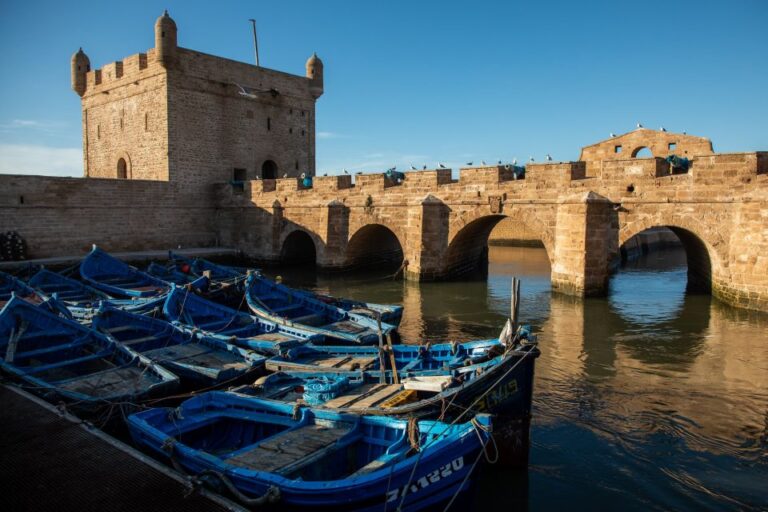 From Agadir or Taghazout : Essaouira Guided Day Trip