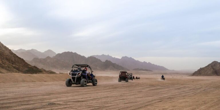 From Agadir: Sahara Desert Buggy Tour With Snack & Transfer