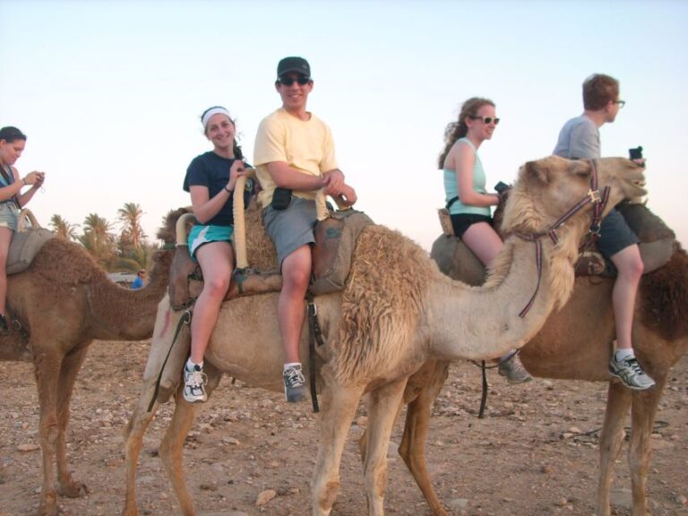 From Agadir: Sahara Desert Buggy Tour With Snack & Transfer