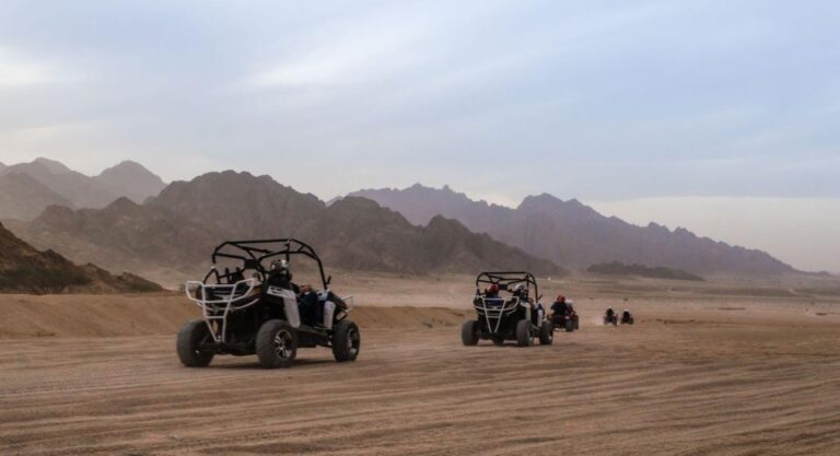 From Agadir: Sahara Desert Buggy Tour With Snack & Transfer