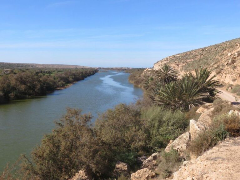 From Agadir: Sous Massa National Park Desert Safari W/Lunch