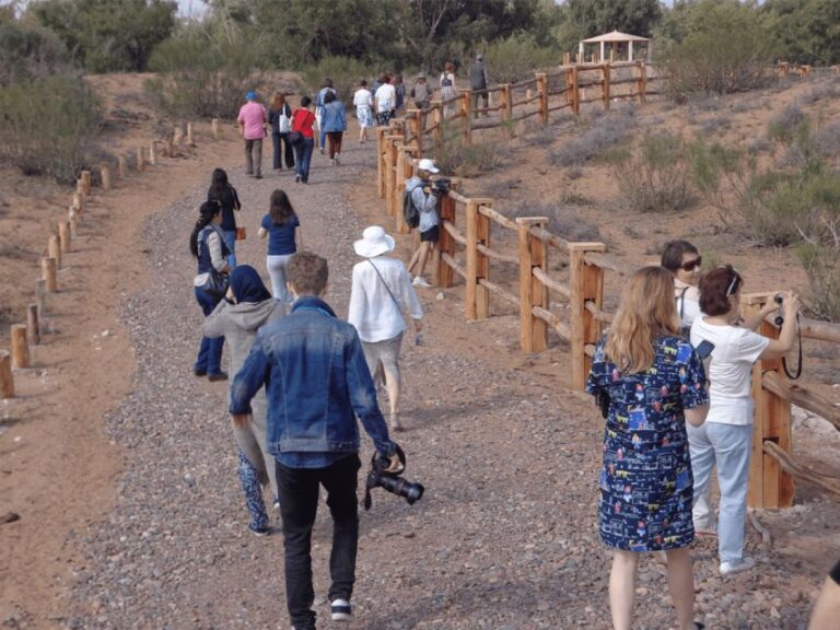 From Agadir: Sous Massa Wildlife Park, Desert Safari & Lunch