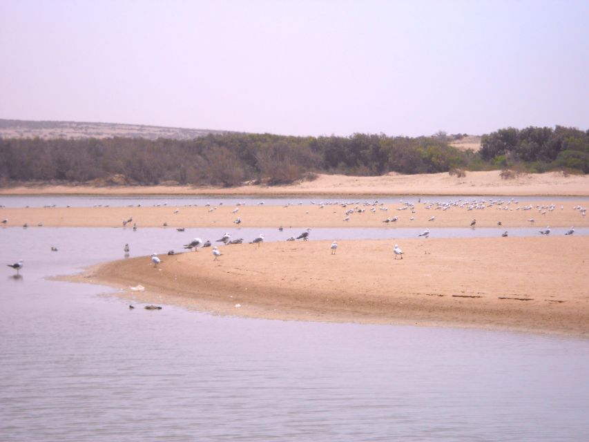 1 from agadir souss massa national park tour From Agadir: Souss Massa National Park Tour