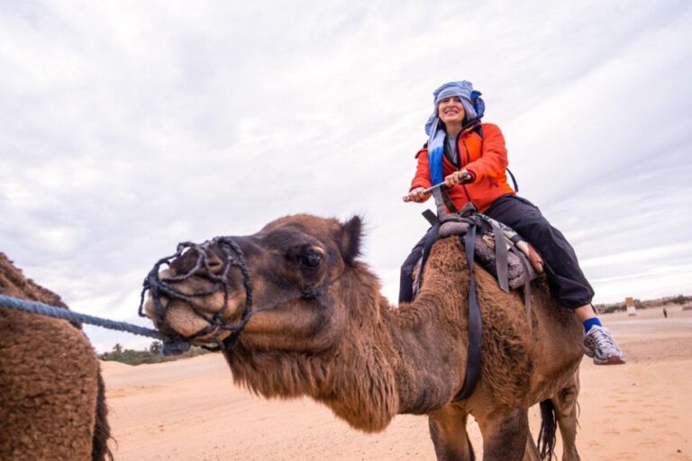 From Agadir/Taghazout: Camel Ride With Tea and Flamingos