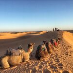 1 from agadir taghazout sahara sand dunes with transfer 12 From Agadir/Taghazout: Sahara Sand Dunes With Transfer